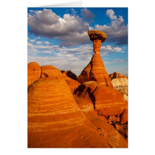 Cartão Toadstool Tarde (Frente)