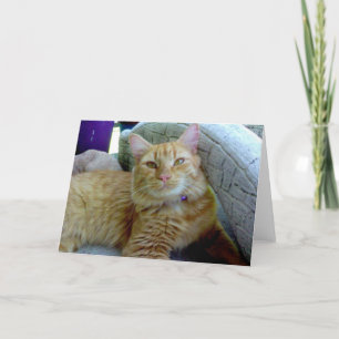 Cartão Toby the Cat Greeting Card