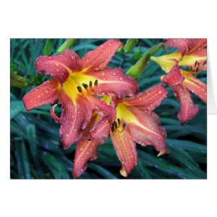 Cartão Tocha de ardência