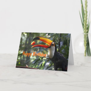 Cartão Toco Toucan Birthday Card