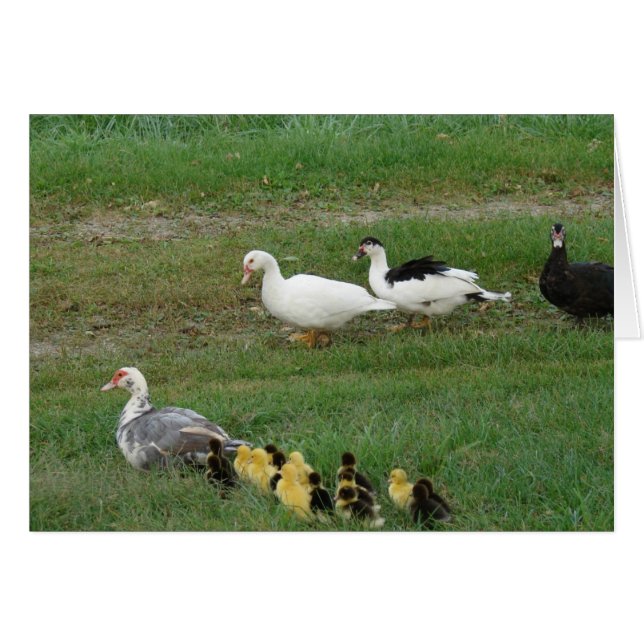 Cartão Toda a família (Frente Horizontal)