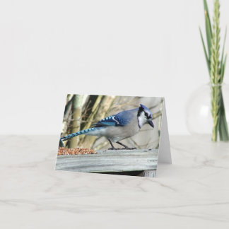 Cartão toda a ocasião