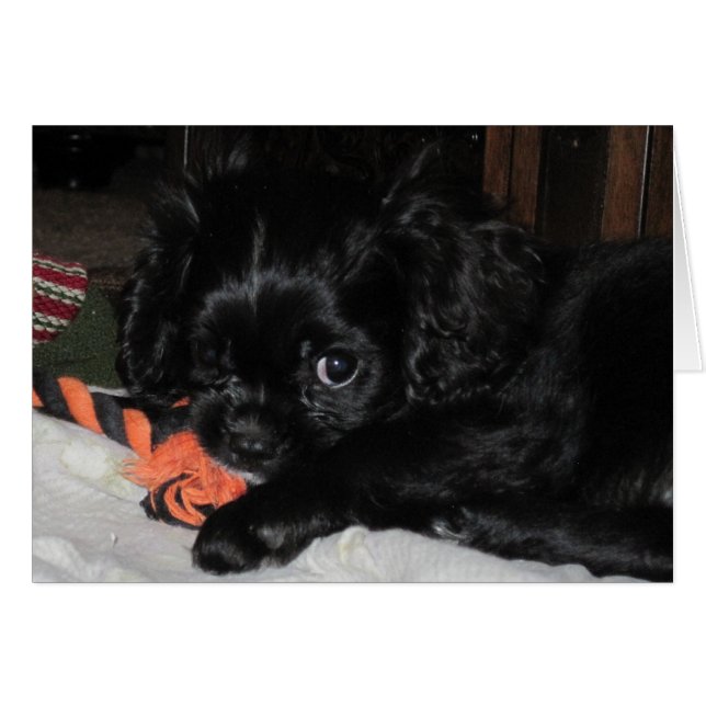 Cartão Todas as Minas (Frente Horizontal)