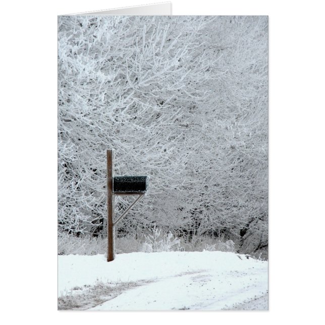 Cartão Todas as Ocasiões de Iowa Congeladas (Frente)