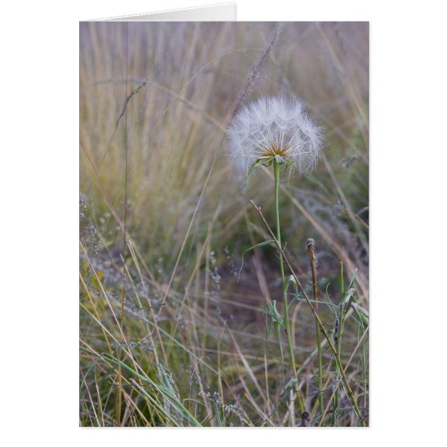 Cartão Todas as pequenas coisas (Frente)