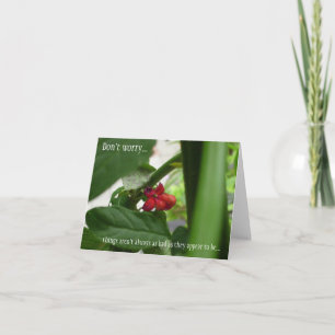 Cartão Todas as Simpatias de Ocasião