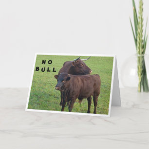 CARTÃO TODAS DIZEM: *SEM BULL* VOCÊ NÃO PODE SER **40**