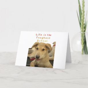 Cartão Todos os Cachorros Têm o iTS DAY Hakuna Matata Dia