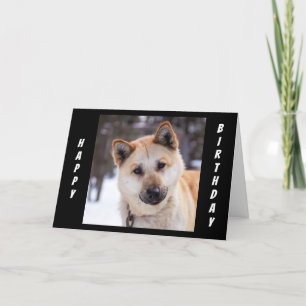 CARTÃO "TODOS OS OUVIDOS" PARA OUVIR COMO VOCÊ CELEBRA O 