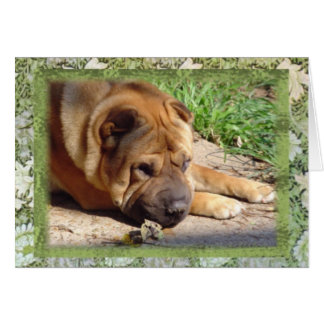 Cartão Todos que eu tenho são memórias