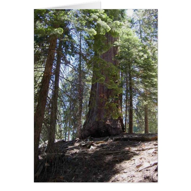 Cartão tom (Frente)