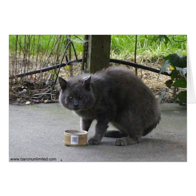 Cartão Tom Cat sem teto (Frente Horizontal)