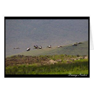 Cartão Tomando o vôo