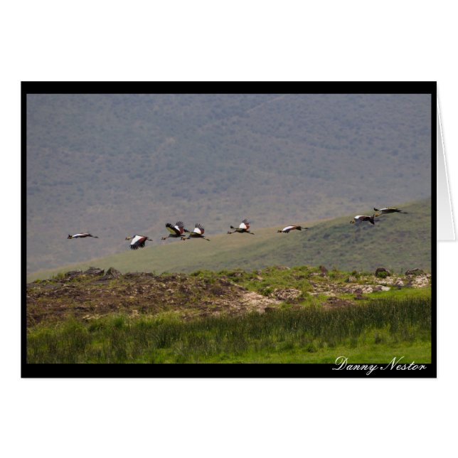 Cartão Tomando Voo (Frente Horizontal)