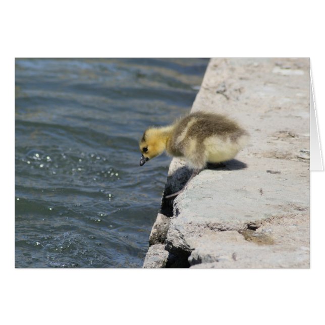 Cartão Tomar a Punge (Frente Horizontal)