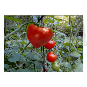 Cartão Tomate dado forma coração nenhuma mensagem