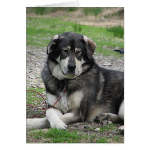 Cartão Tome-o fácil!