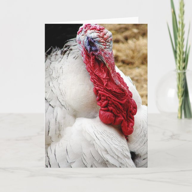 Cartão Tommy (Frente)