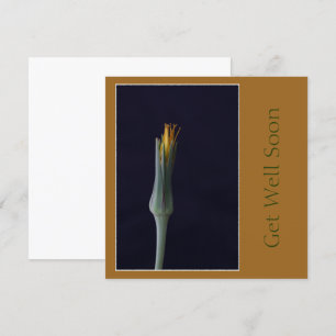 Cartão Tonas Marrons Dourados Florais de Recuperação Rápi