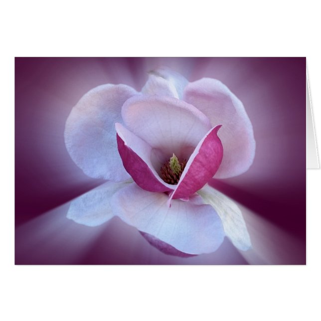 Cartão tons de magnólia rosa (Frente Horizontal)