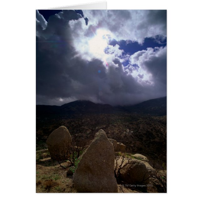 Cartão Tonto National Forest, Arizona, Estados Unidos (Frente)