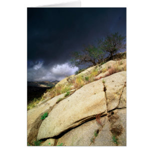Cartão Tonto National Forest, Arizona, Estados Unidos 2