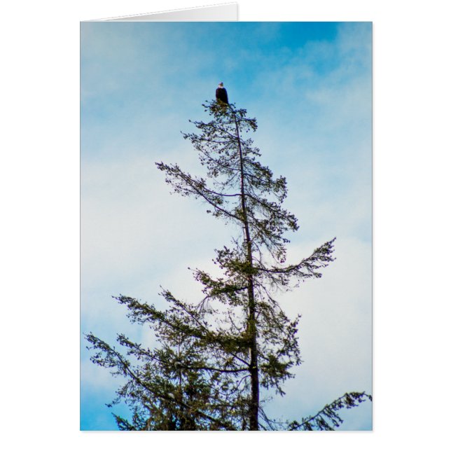 Cartão Torre de monitoração (Frente)