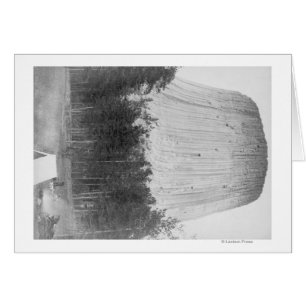 Cartão Torre do diabo com 4 Pessoas no primeiro plano