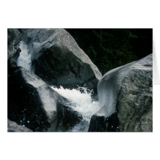 Cartão TORSO ARCAICO de APOLLO_a