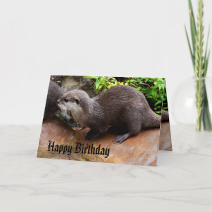 Cartão Totalmente Adorável Pequena Lontra Cinza, Feliz An