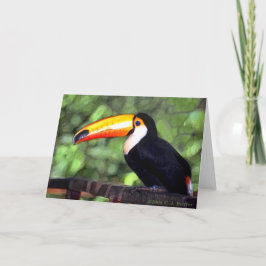 Cartão 'Toucan'