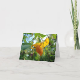 Cartão Touch-Me-Not Orange Wildflower