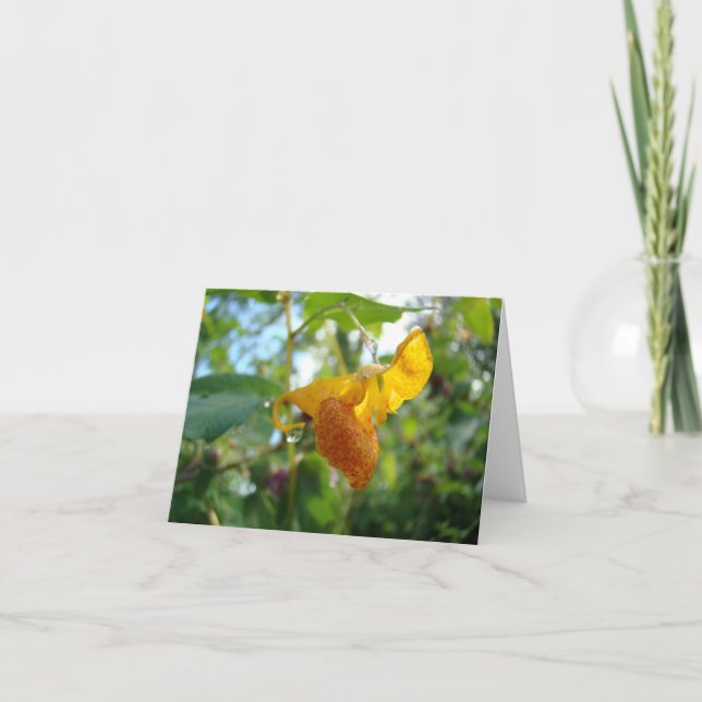 Cartão Touch-Me-Not Orange Wildflower (Frente)