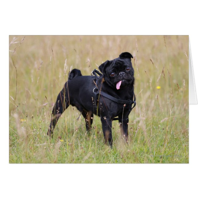 Cartão Tounge Preto (Frente Horizontal)