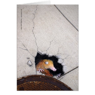 Cartão toupeira inábil