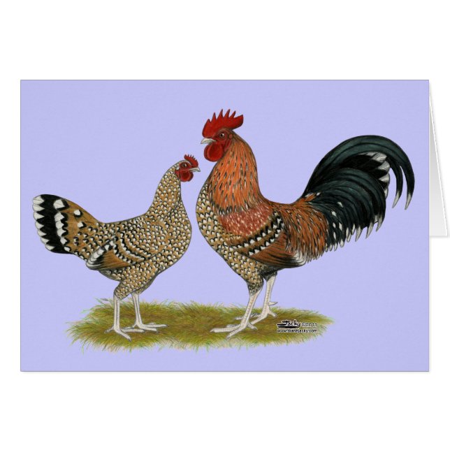 Cartão Tournaisis Bantams (Frente horizontal)