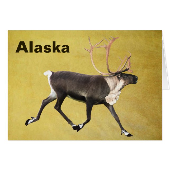 Cartão Touro Cariou (Frente Horizontal)