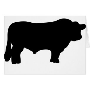 Cartão touro preto grande de angus