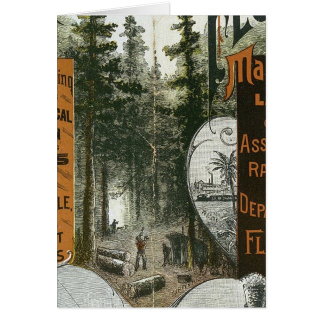 Cartão Township Map, Flórida (Frente)