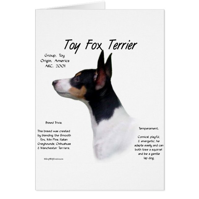 Cartão Toy Fox Terrier History Design (Frente)