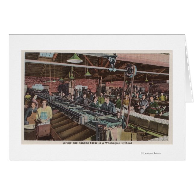 Cartão Trabalhadores e Fábrica de Classificação e Embalag (Frente Horizontal)