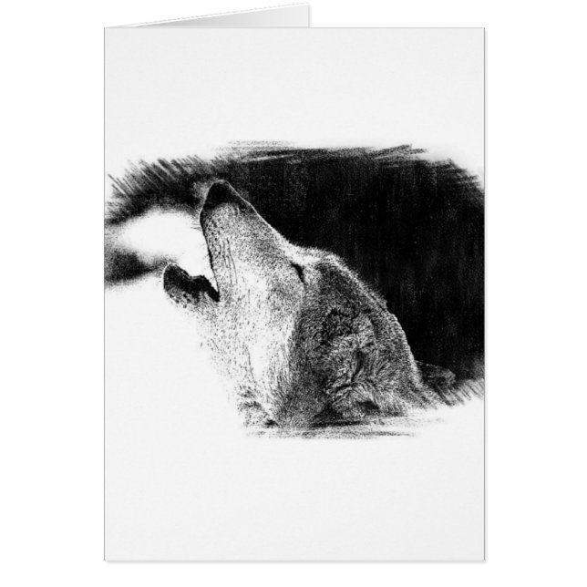 Cartão Trabalho de arte de desenho do lobo da Cinza branc (Frente)