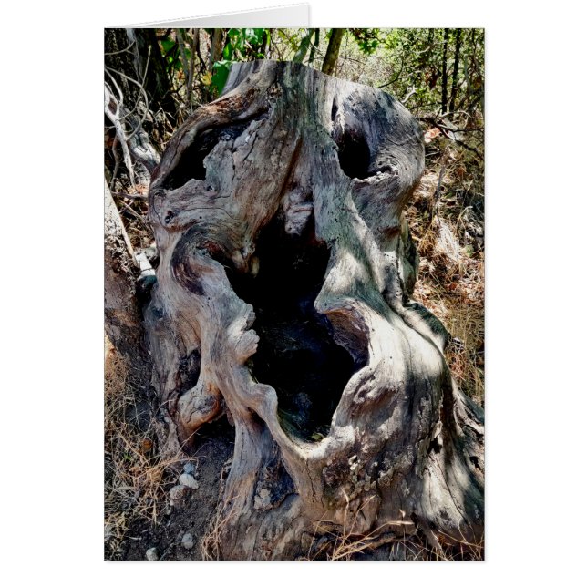 Cartão Traço de árvore (Frente)