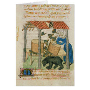 Cartão Tractatus de Herbis'
