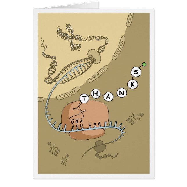 Cartão Tradução (Frente)