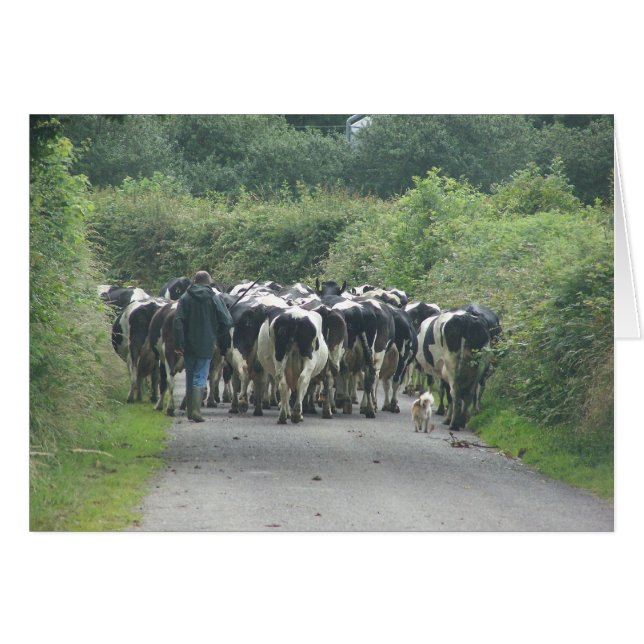 Cartão Tráfego emperrado! (Frente horizontal)