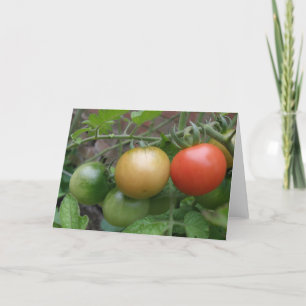 Cartão Traffic Light Tomatoes Greeting Card