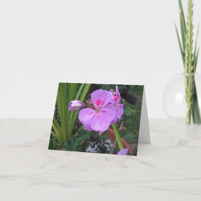 Cartão Traga a Chuva - Notecard (Frente)