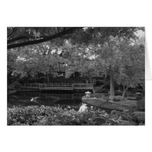 Cartão Trajeto calmo