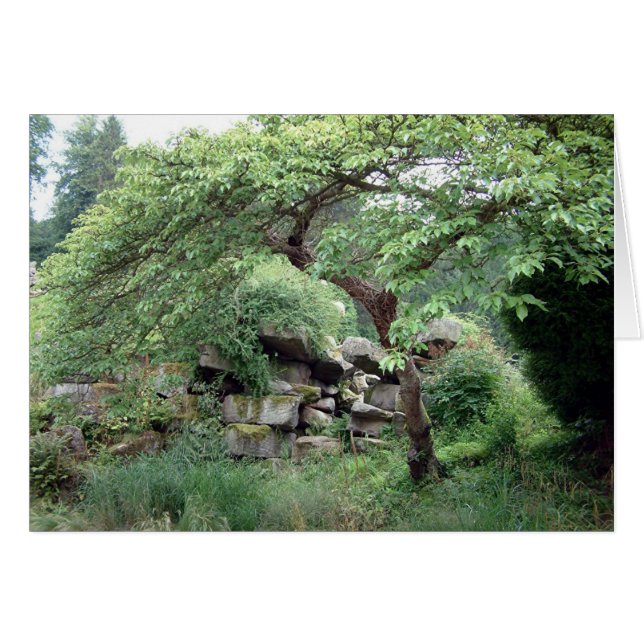 Cartão Tranquilidade (Frente Horizontal)